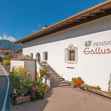 Pension Gallus Laces Exterior foto